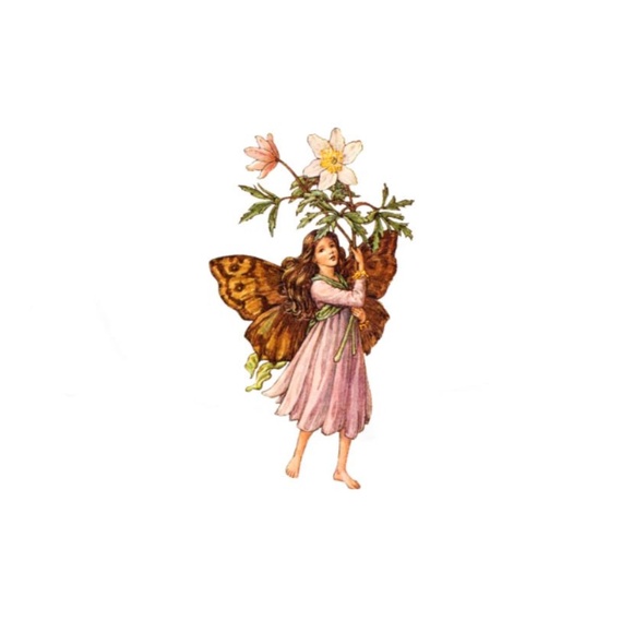 Meet your Posher, Mae - Picture 1 of 1